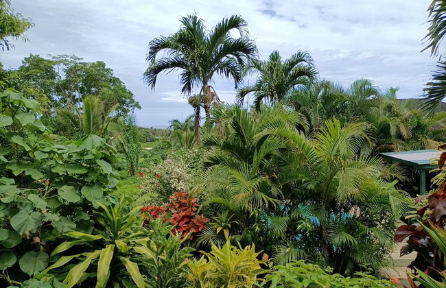 Muri Retreat - Photo 71