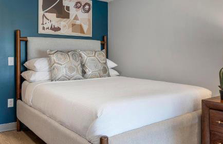 Landing Stylish Studio in Downtown Hermitage - Foto 9