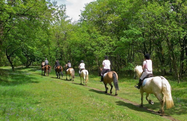 Country House Casco dell'Acqua - Foto 36