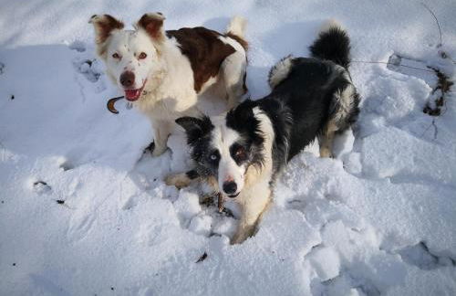 Mooi ruim appartement in antieke stadsboerderij - Foto 31