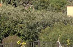 Grand Studio Avec Piscine Presqu'île De Giens - Foto 12