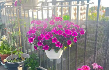 CTT Apartament Bakalarska - Foto 11