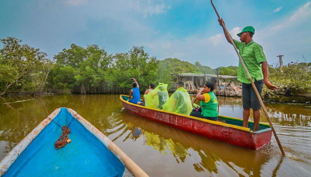Explora los manglares de La Boquilla - Tour de medio día - Foto 2