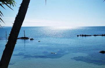 Magnolia casa di campagna Costa dei Trabocchi - Foto 47