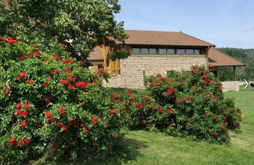 Les Perruchons ancienne grange rénovée avec soin - Foto 8