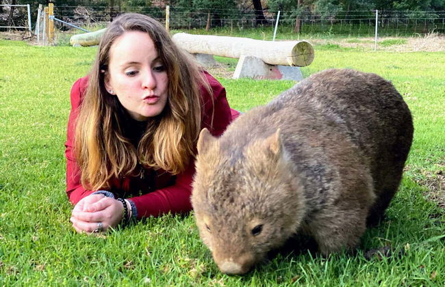 Southern Highlands Kangaroo & Wombat Tour - Foto 6