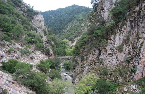 Dryades Guesthouse - Foto 25