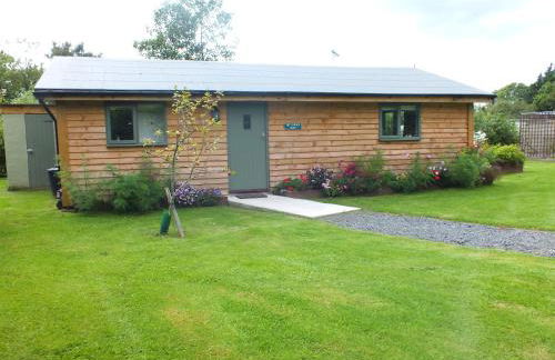 The Potting Shed And The Garden Shed Self Catering - Photo 49