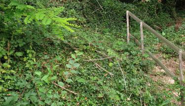 À flanc de colline - Foto 3