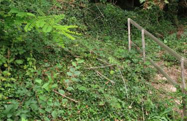 À flanc de colline - Foto 3