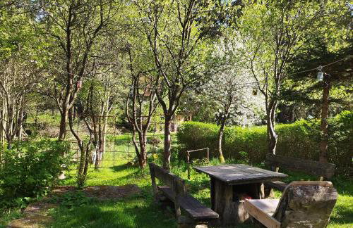 Apartamenty u Gołębiewskich - Foto 69