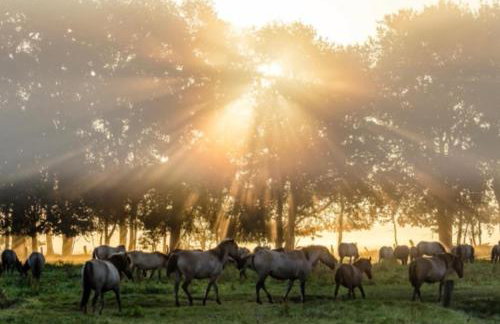 City-Apartment Dülmen - Foto 8