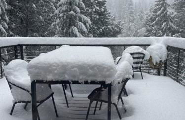 Lux, designer 8-acre retreat with private creek - Foto 19