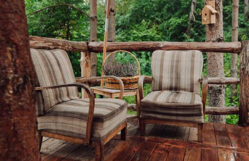 Iglasta chata - Foto 23