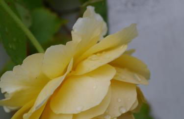 Ferienwohnung im Neubauernweg 3 - Foto 65