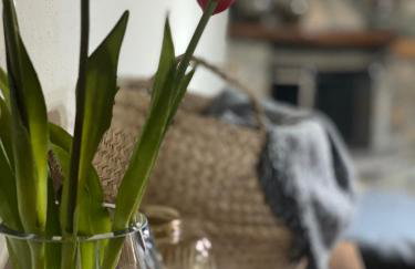 Urban River House - Foto 49