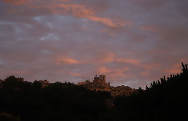 Orion Tree houses - Foto 49