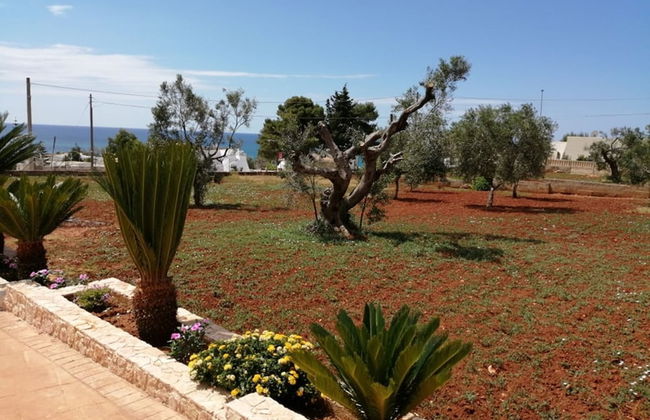 Two-room Apartment Milan in Marina di Pescoluse - Foto 11