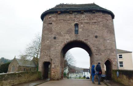 Walker's Rest - Photo 14