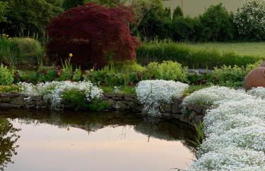 Die Landhaus Suite im Landhaus im Park - Foto 24