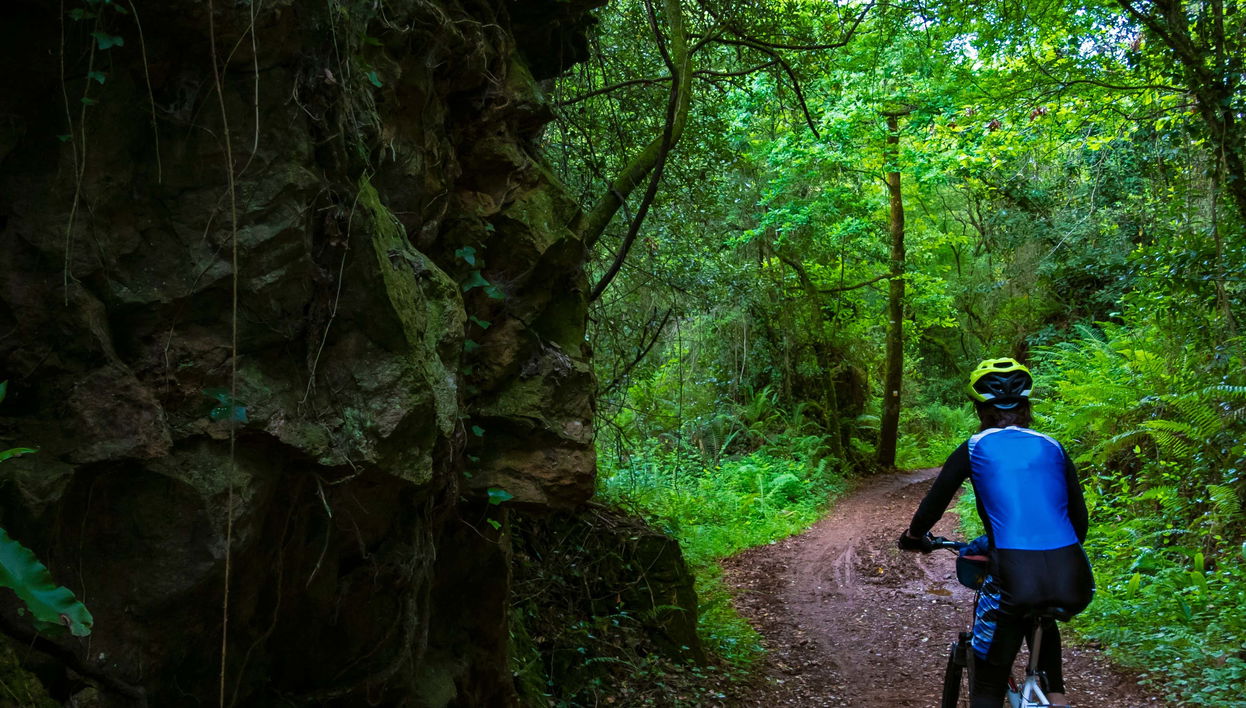 Balade à vélo sur l'Île de Santa Cruz