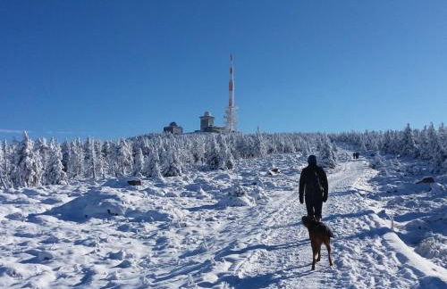 Holiday home in the Harz Mountains with 3 bedrooms - Foto 20