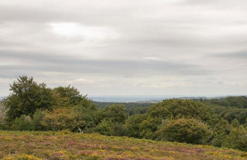 Flora's Barn - Foto 40