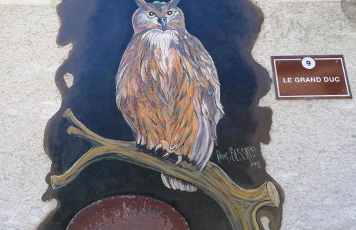 Le grand duc - Foto 17