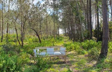 Quinta da Familia - Foto 11