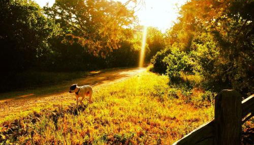 Beautiful Hill Country Hideaway - Foto 2