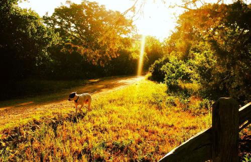 Beautiful Hill Country Hideaway - Foto 2