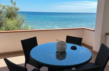 Mediterranea - Photo 4