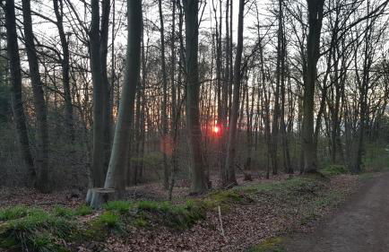 MOIN, MOIN & AHOI! - Foto 50