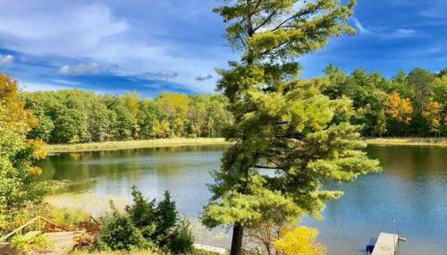 Cabin on Little Lake Emily & ATV Trails - Foto 2