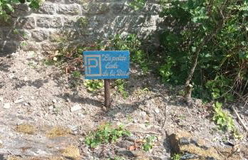 La Petite Ecole de la Baie - Foto 38