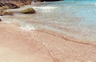 Casa dos Calas - Foto 13