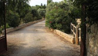 Mas des Oliviers - Foto 2