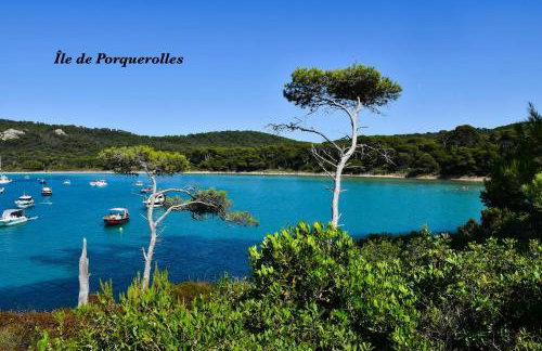 Le Port Plage Studio tout confort Terrasse Clim - Foto 27