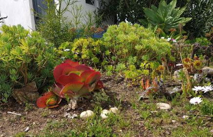 Monte da ti Luzia - Foto 15