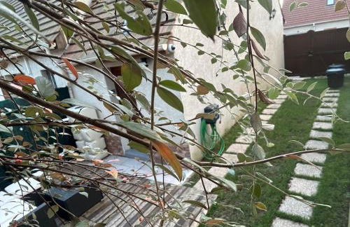 Studio Airport CDG - Asterix - Parc des Expo - Foto 13