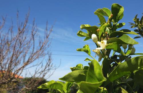 Casa da Paz - Foto 26