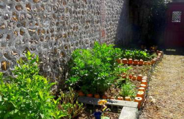 L'Ajoussienne - Foto 31