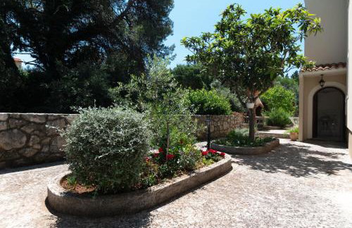 Apartments with parking space Muline, Ugljan - 8521 - Foto 7