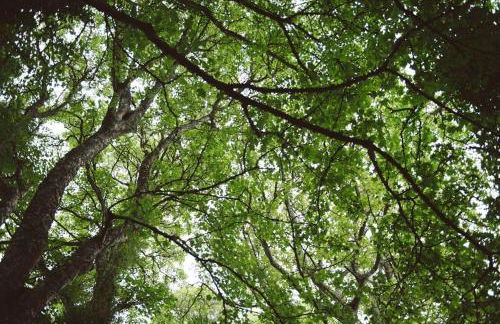 Assynt House - Exclusive Use Holiday House - Foto 39