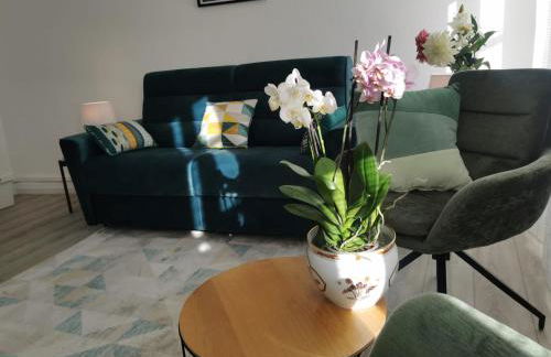 L Alsacienne F2 centre ville - Foto 54