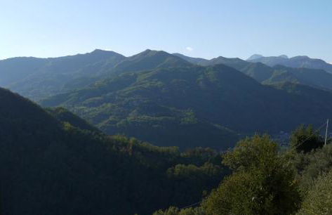 piscina con vista - Foto 8