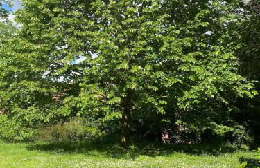 36 m2 2-room apartment, parking, fiber internet, near metro, Literie Bultex - Foto 17