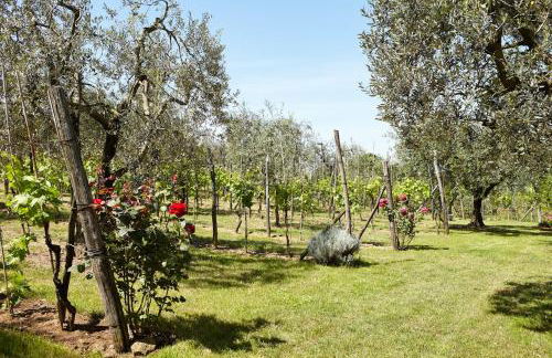 Podere La Casuccia - Foto 22