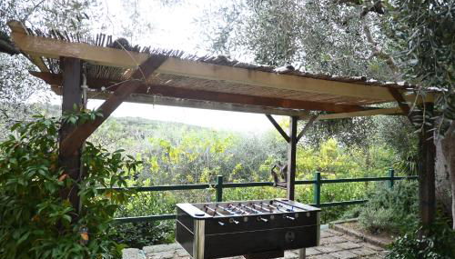 Villa Capalbio - Foto 4, Garden, Garden view