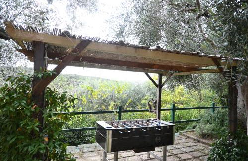 Villa Capalbio - Foto 4